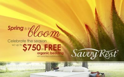 ﻿Spring Savings from Savvy Rest