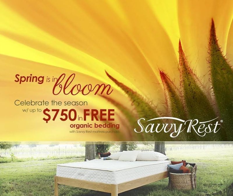 ﻿Spring Savings from Savvy Rest